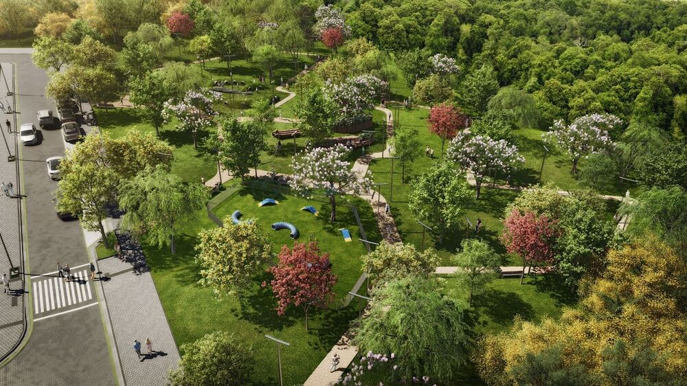 Terreno, 300 m² - Foto 11