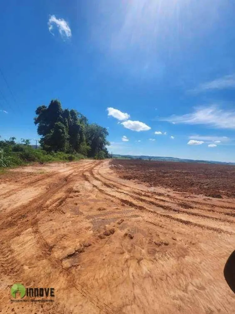 Sítio, 37 hectares - Foto 2