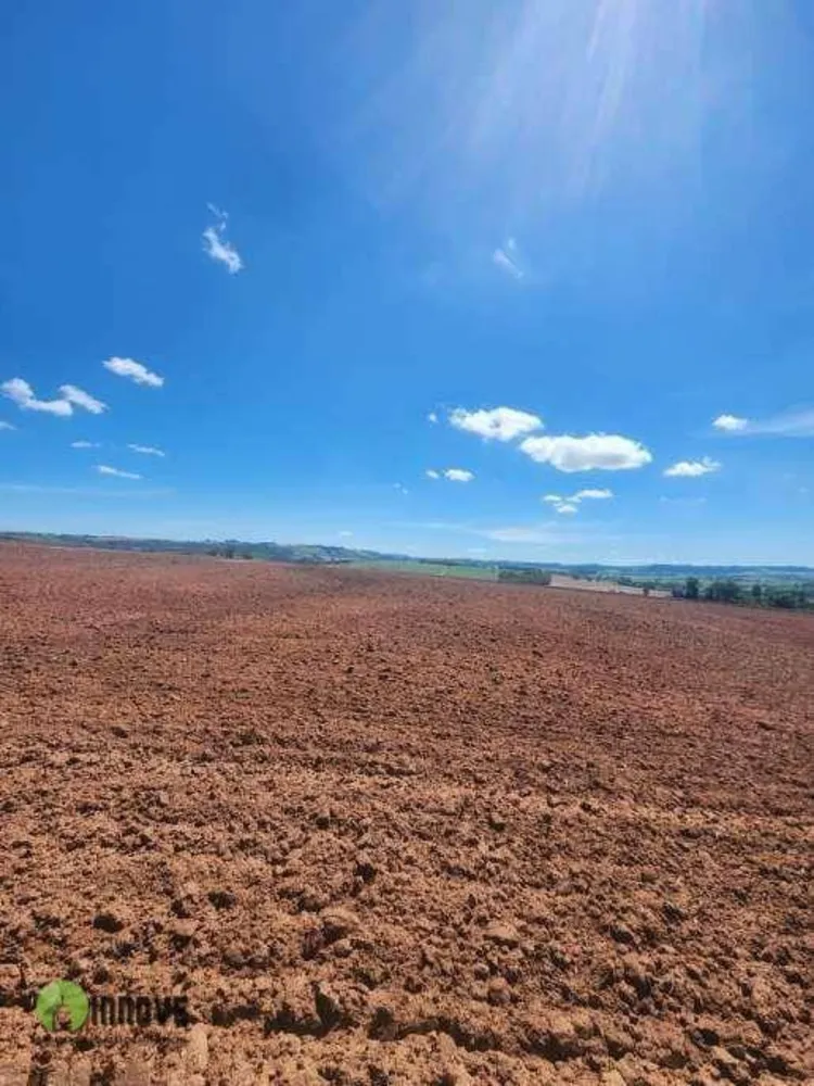 Sítio, 37 hectares - Foto 3