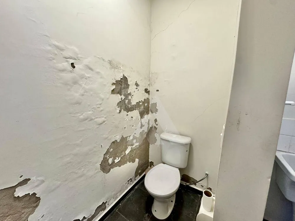 Casa, 3 quartos, 295 m² - Foto 12