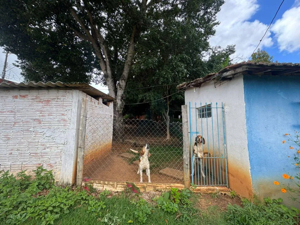 Chácara, 3 quartos, 5341 m² - Foto 9