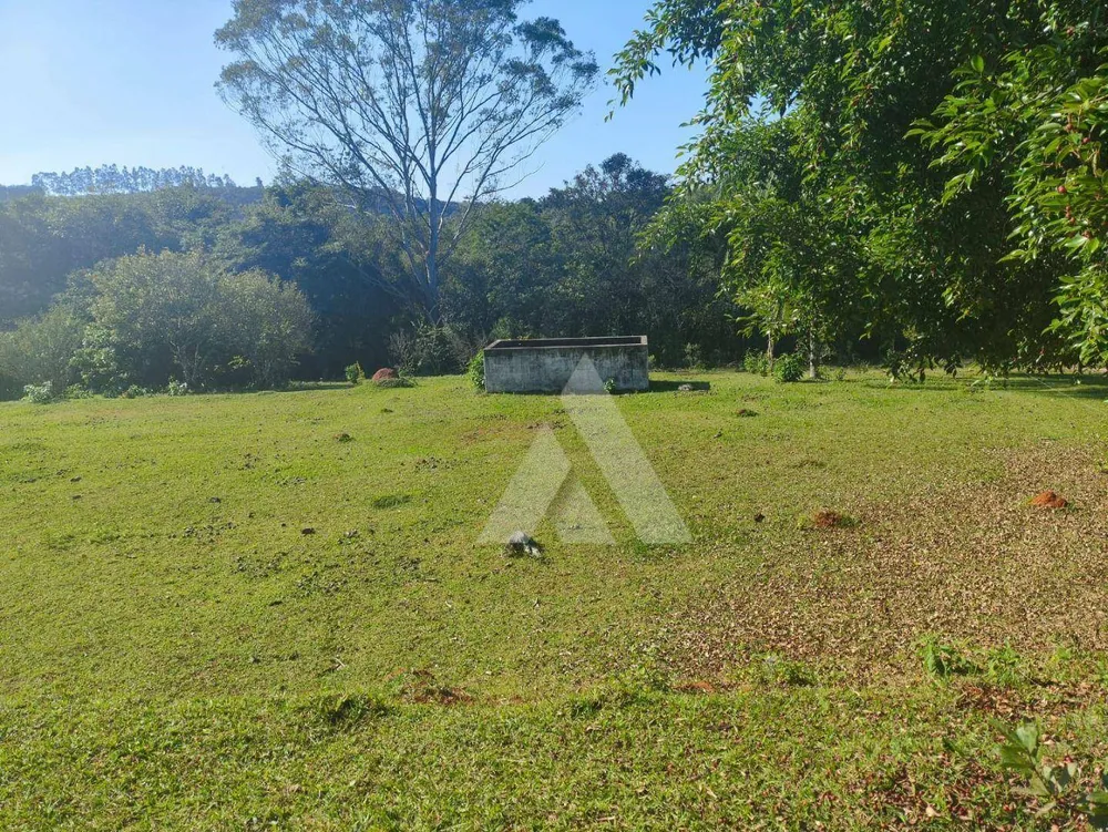 Chácara, 4 quartos, 3000 m² - Foto 4