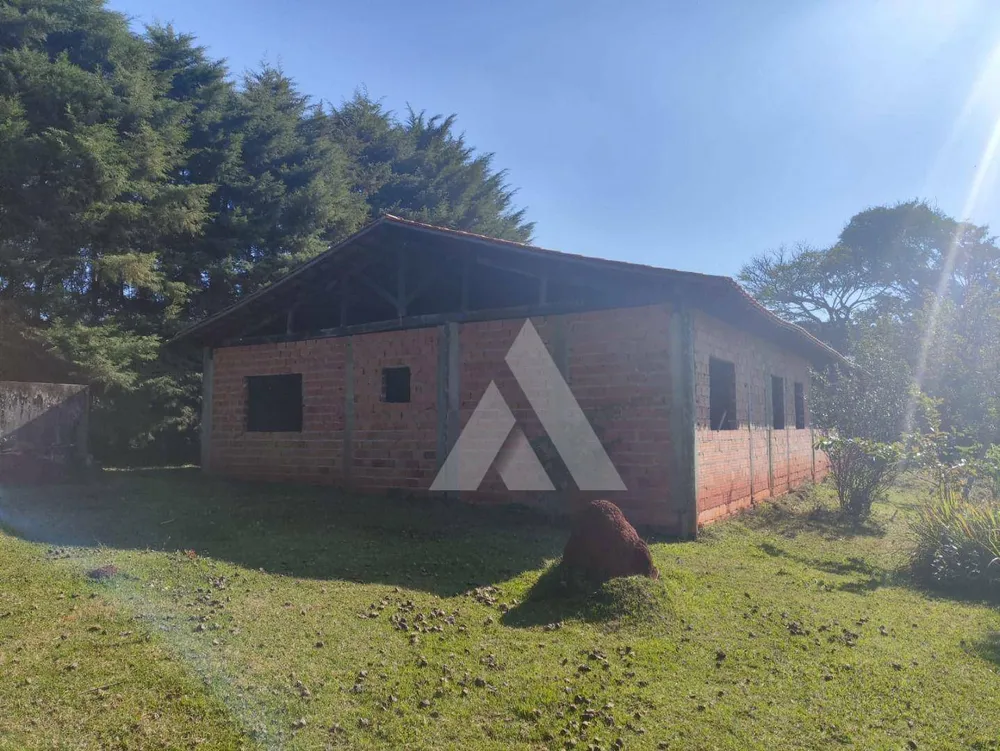 Chácara, 4 quartos, 3000 m² - Foto 3