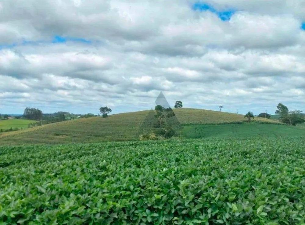 Terreno, 12 hectares - Foto 1