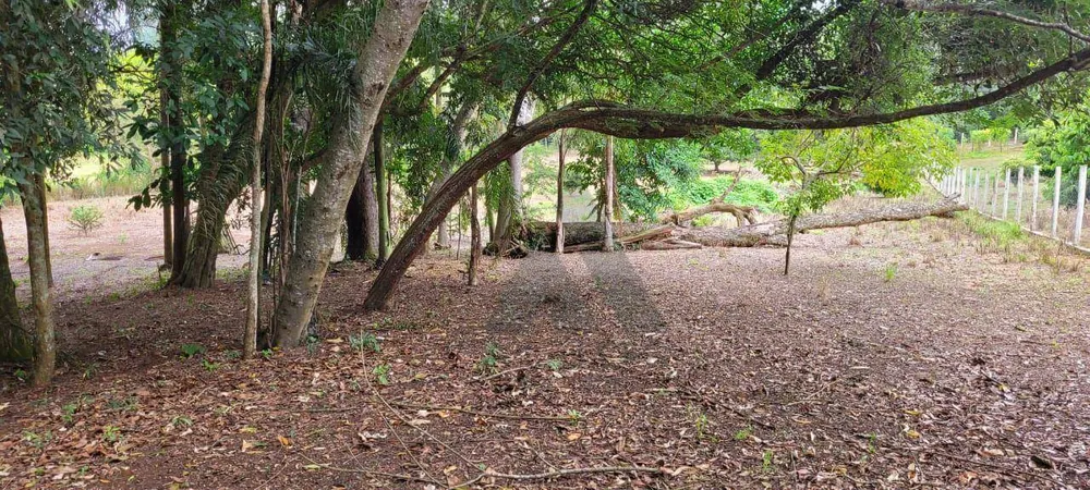 Chácara, 3 quartos, 2 hectares - Foto 3