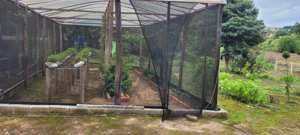 Chácara, 3 quartos, 2 hectares - Foto 3