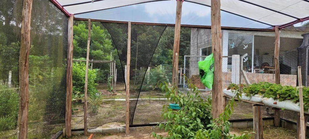 Chácara, 3 quartos, 2 hectares - Foto 1