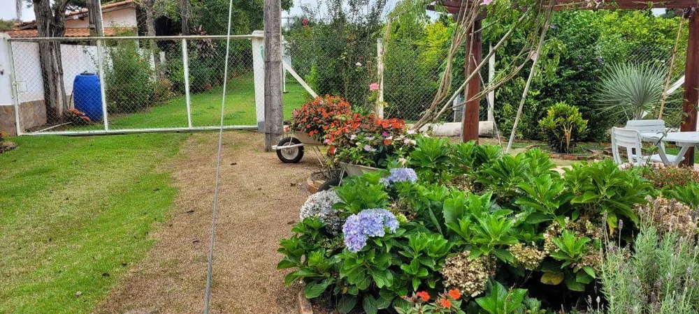 Chácara, 3 quartos, 2 hectares - Foto 7