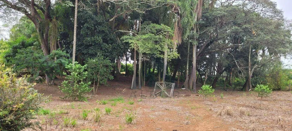 Chácara, 3 quartos, 2 hectares - Foto 6