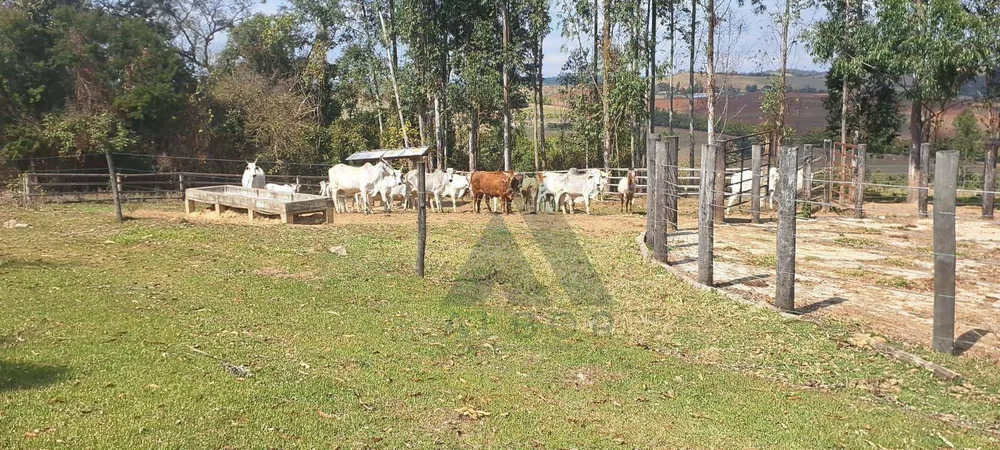 Sítio, 3 quartos, 53 hectares - Foto 2