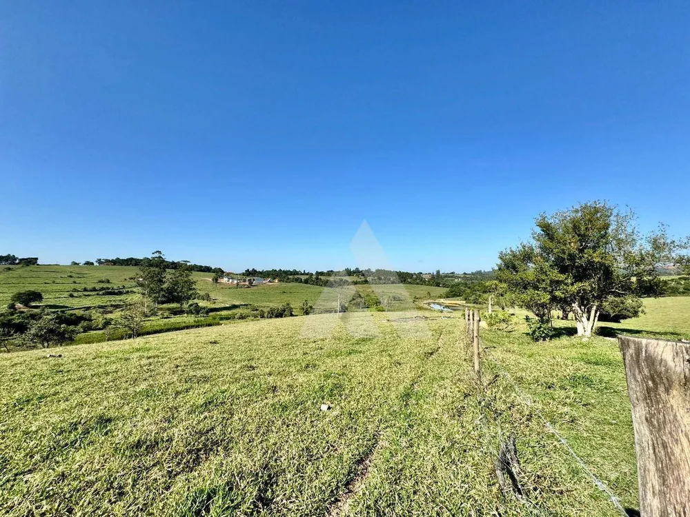 Sítio, 16 hectares - Foto 12