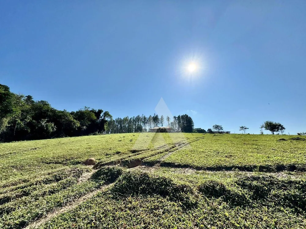 Sítio, 16 hectares - Foto 15