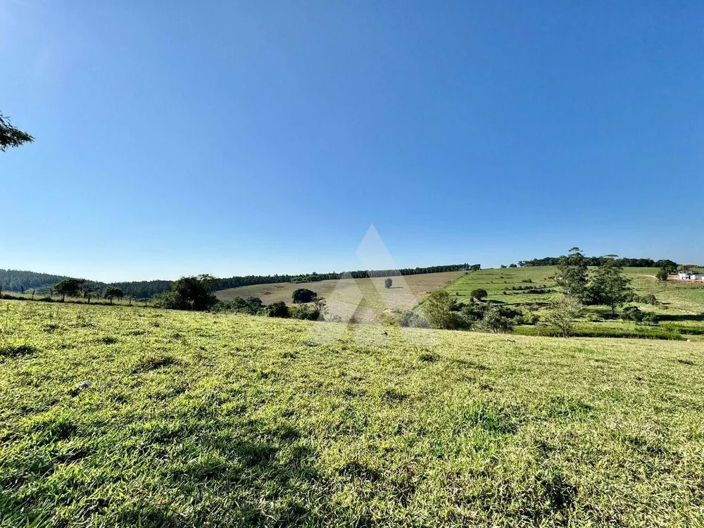 Sítio, 16 hectares - Foto 11