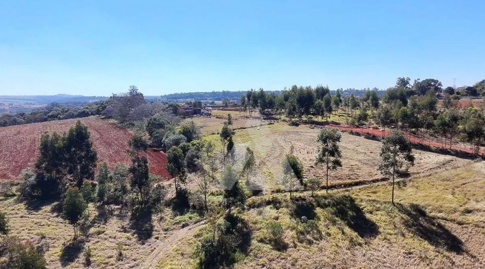 Terreno, 24 hectares - Foto 3