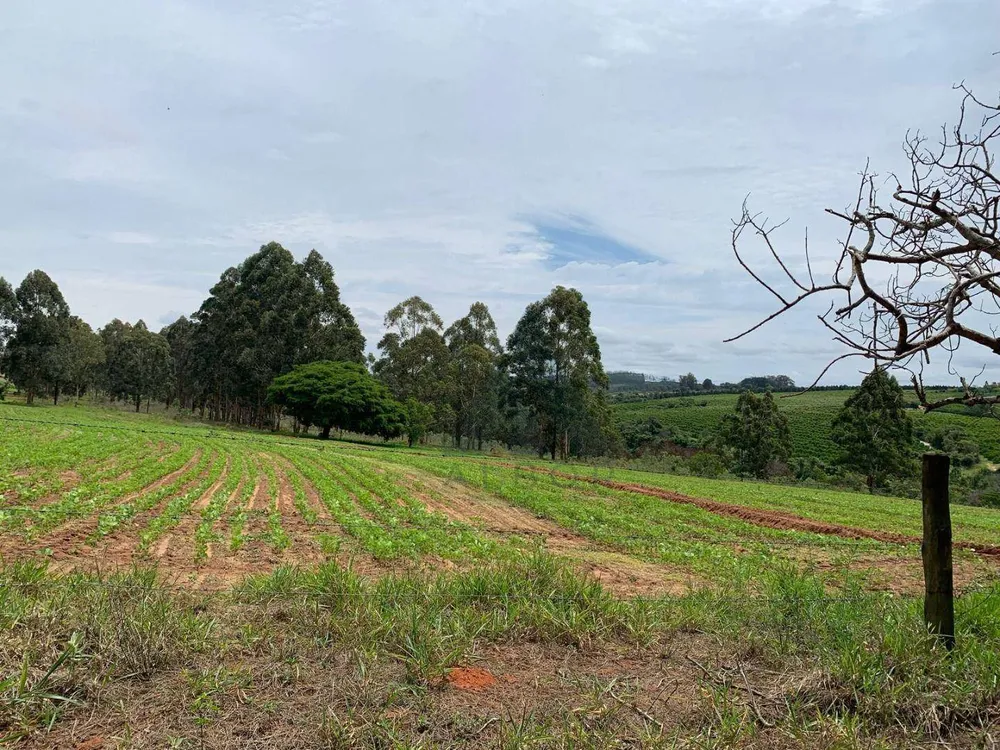 Sítio, 24 hectares - Foto 11