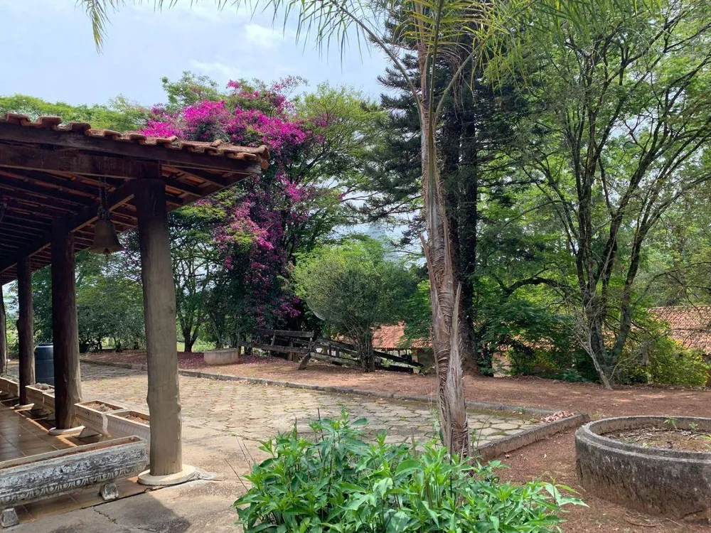 Sítio, 24 hectares - Foto 10