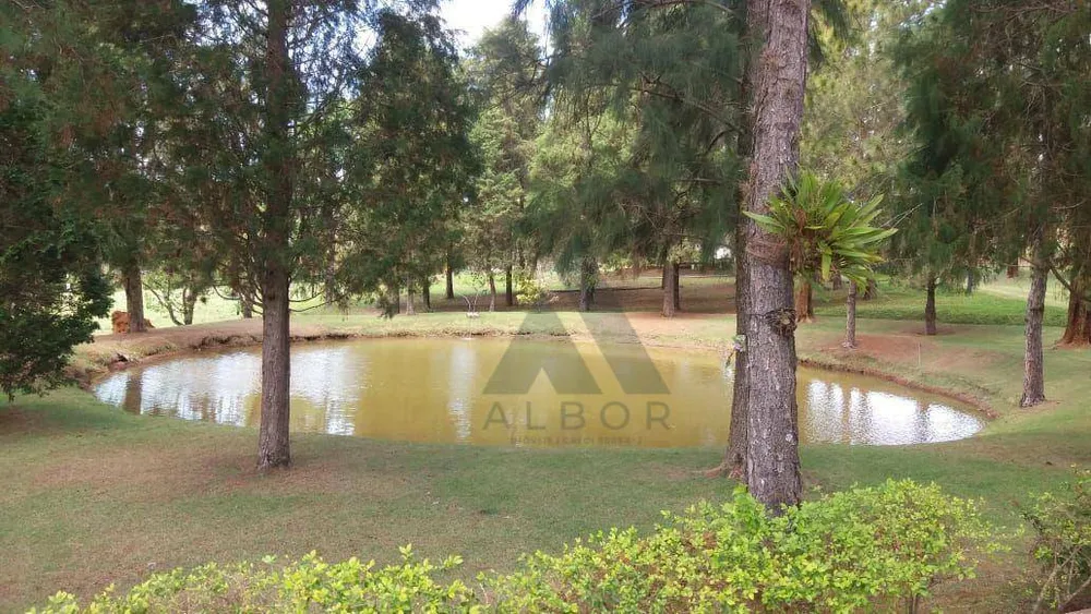 Sítio, 5 quartos, 22 hectares - Foto 8