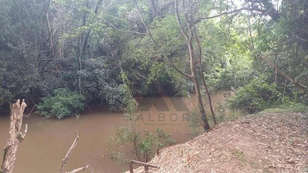 Terreno, 4 hectares - Foto 3