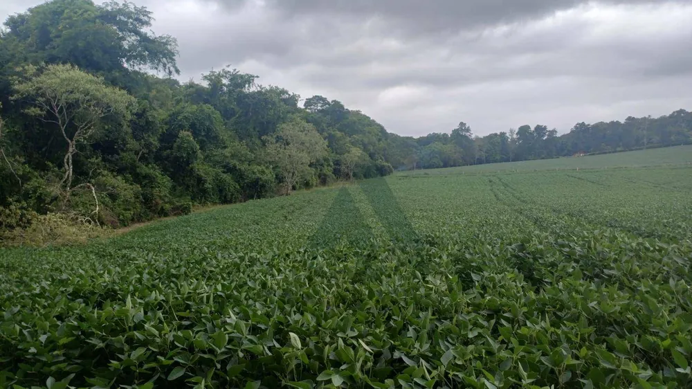 Terreno, 4 hectares - Foto 1