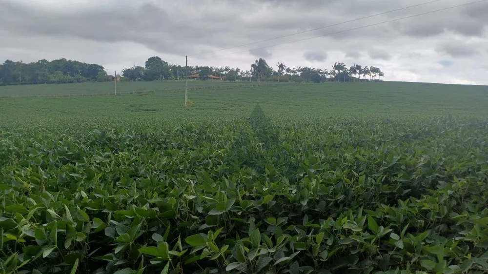 Terreno, 4 hectares - Foto 2