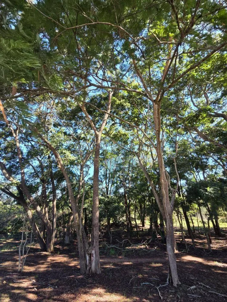 Loteamento e Condomínio, 1000 m² - Foto 6