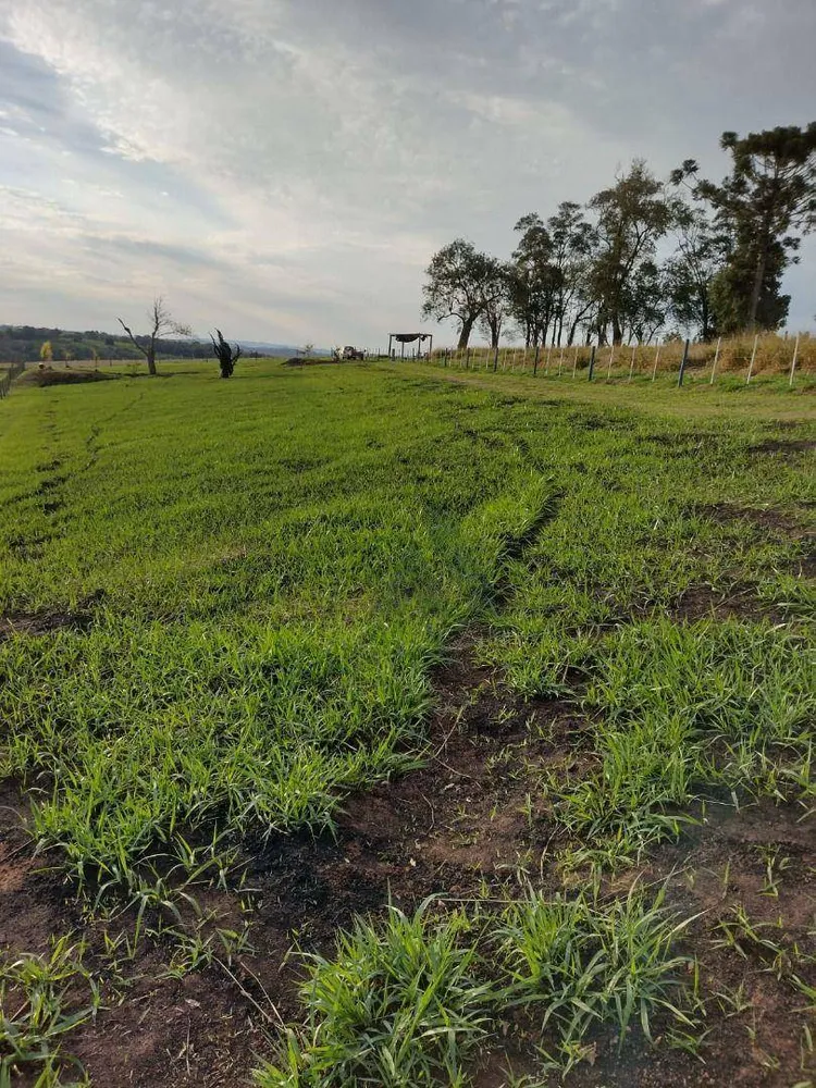 Terreno, 2 hectares - Foto 1