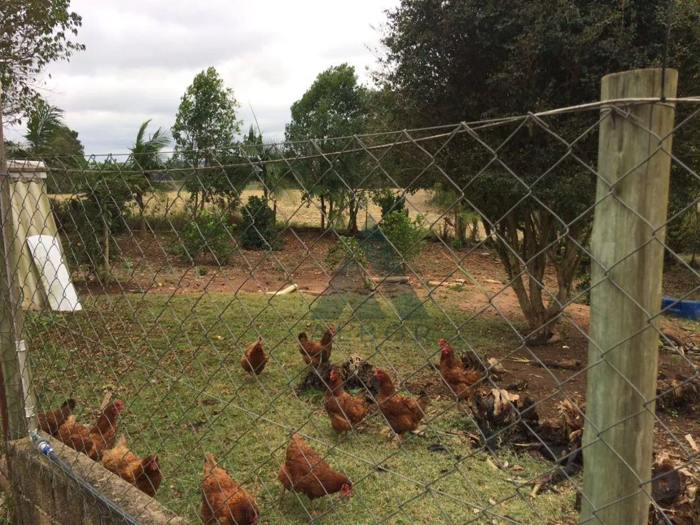 Chácara, 3 quartos, 3 hectares - Foto 16