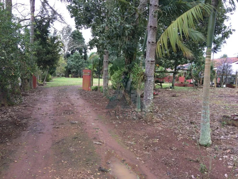 Chácara, 3 quartos, 3 hectares - Foto 12