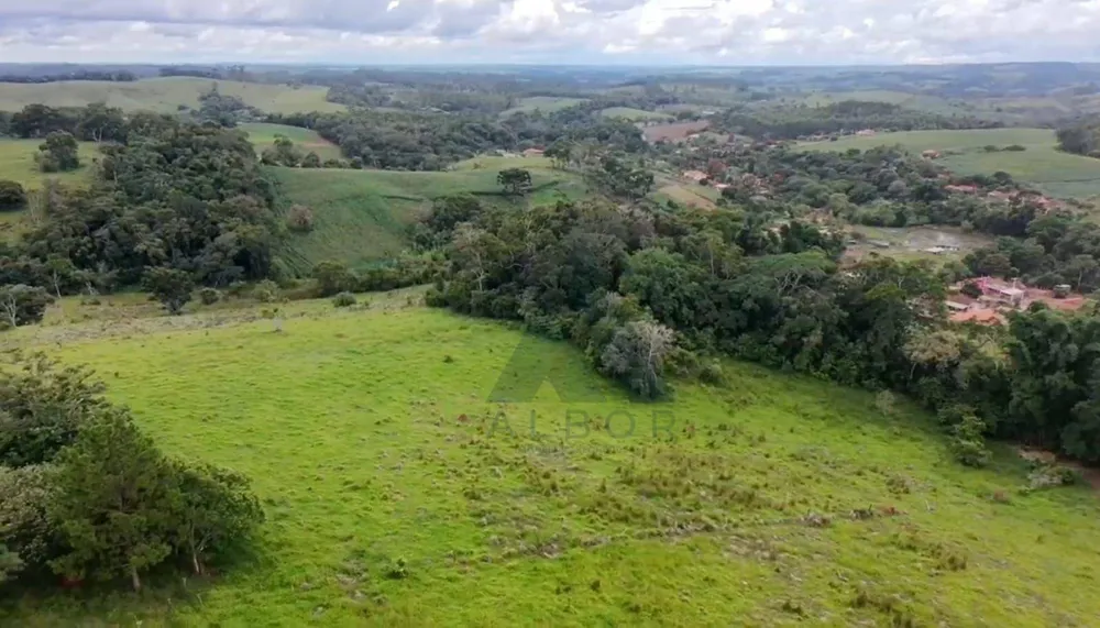 Sítio, 41 hectares - Foto 6