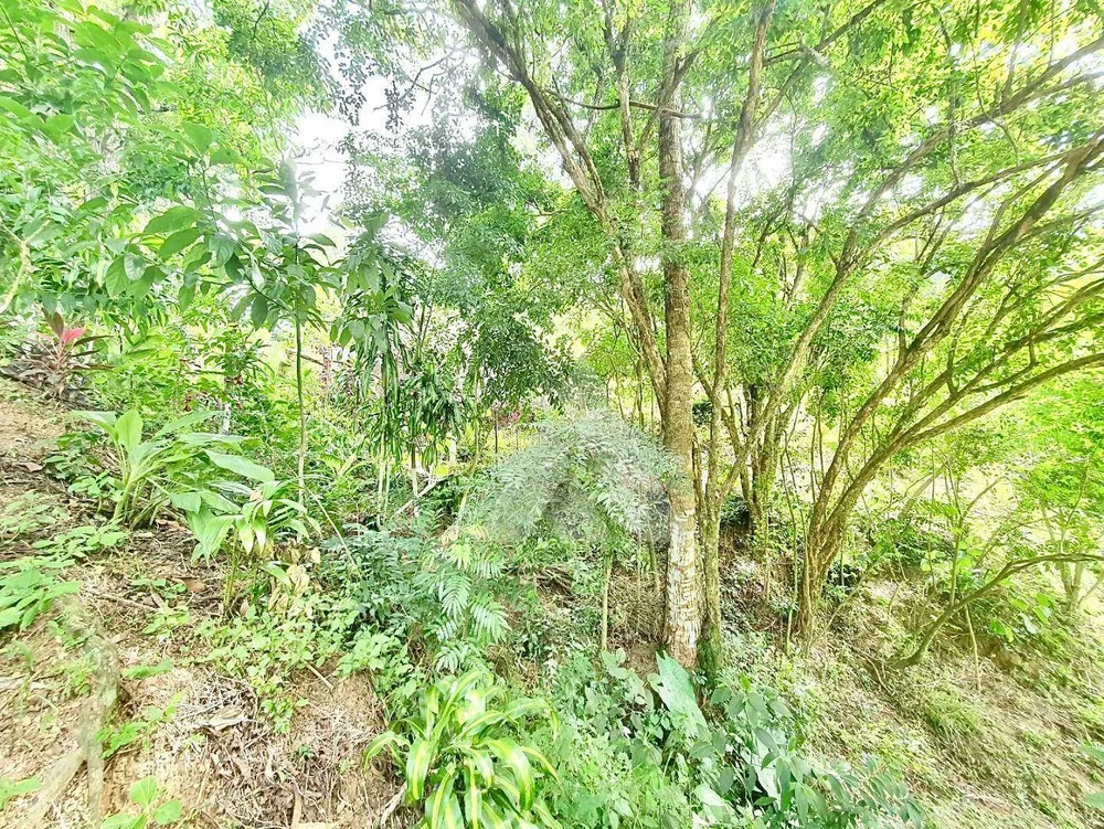 Chácara, 3 quartos, 1 hectares - Foto 10