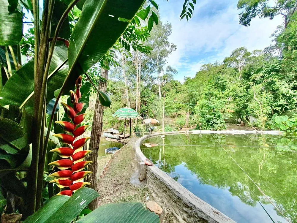 Chácara, 3 quartos, 1 hectares - Foto 1