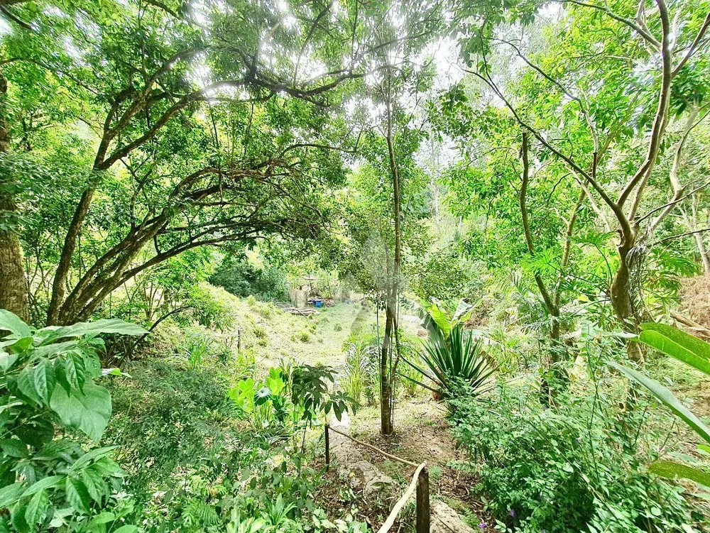 Chácara, 3 quartos, 1 hectares - Foto 16