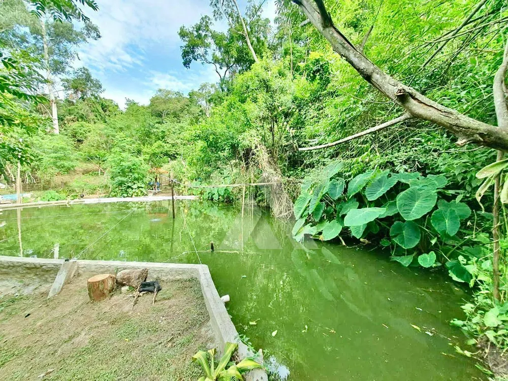 Chácara, 3 quartos, 1 hectares - Foto 2