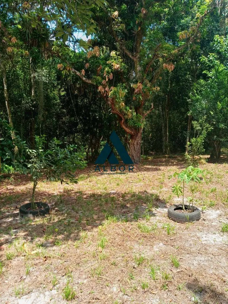 Chácara, 4 quartos, 3000 m² - Foto 4