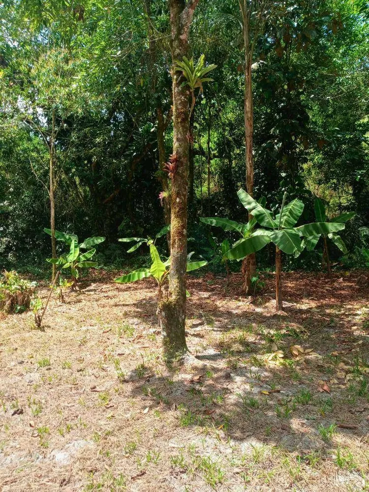 Chácara, 4 quartos, 3000 m² - Foto 5
