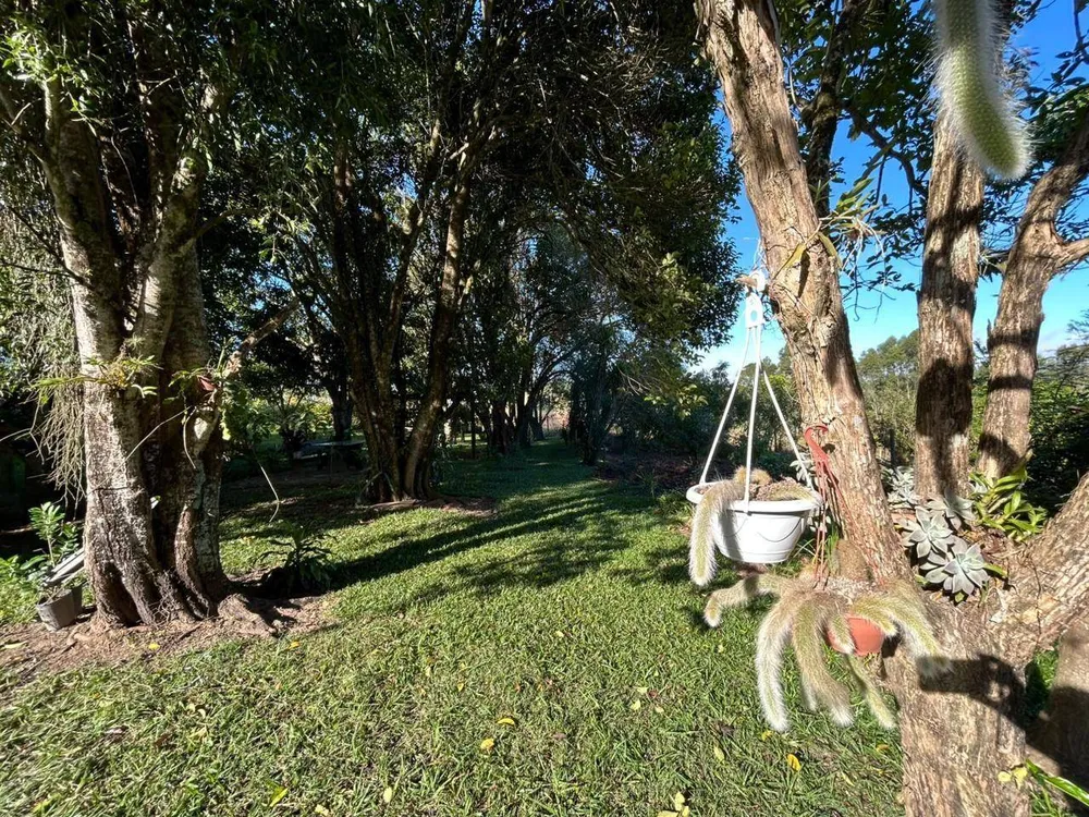 Chácara, 3 quartos, 5000 m² - Foto 15