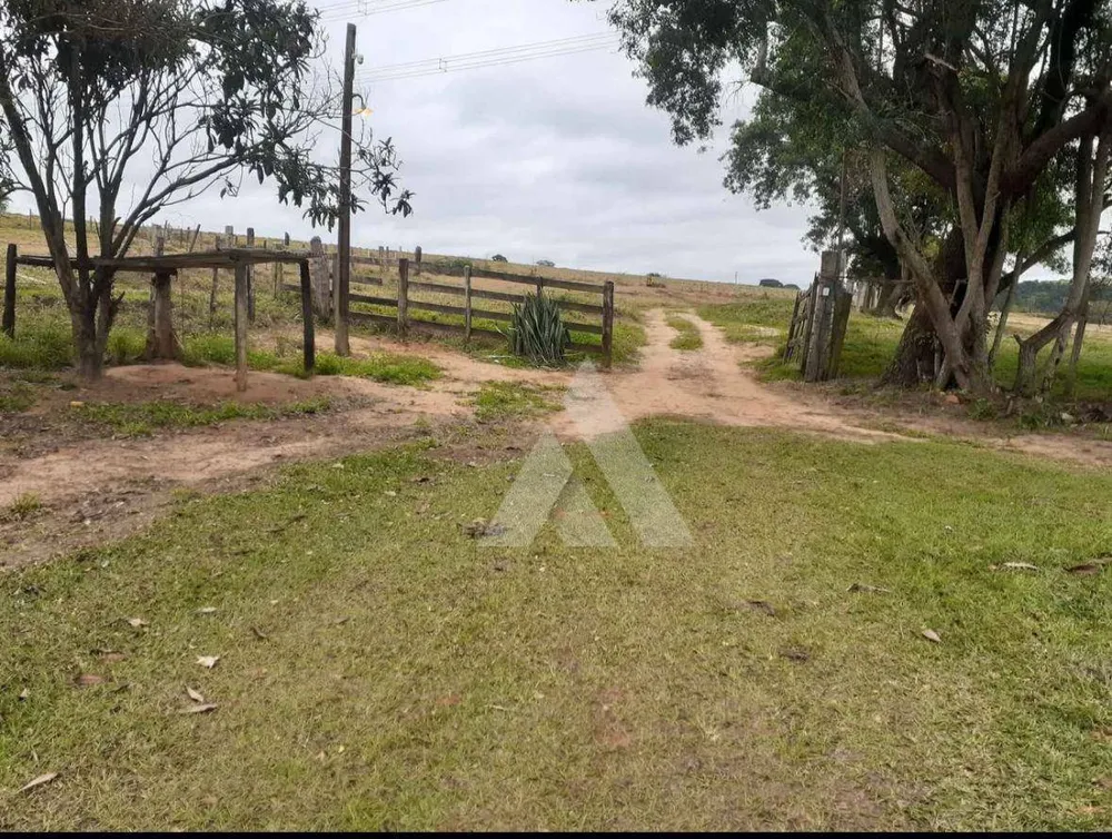Sítio, 3 quartos, 44 hectares - Foto 3