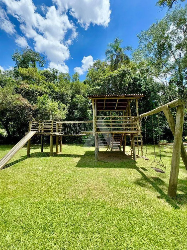 Sítio, 10 hectares - Foto 11