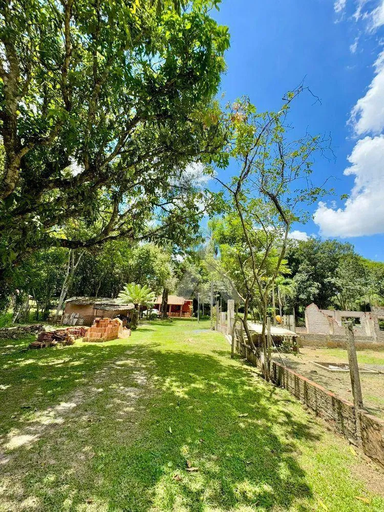 Sítio, 10 hectares - Foto 14