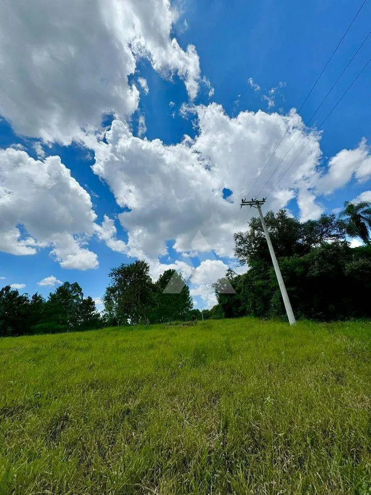 Sítio, 10 hectares - Foto 15