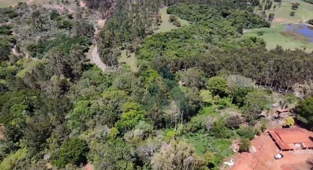 Terreno, 2 hectares - Foto 7