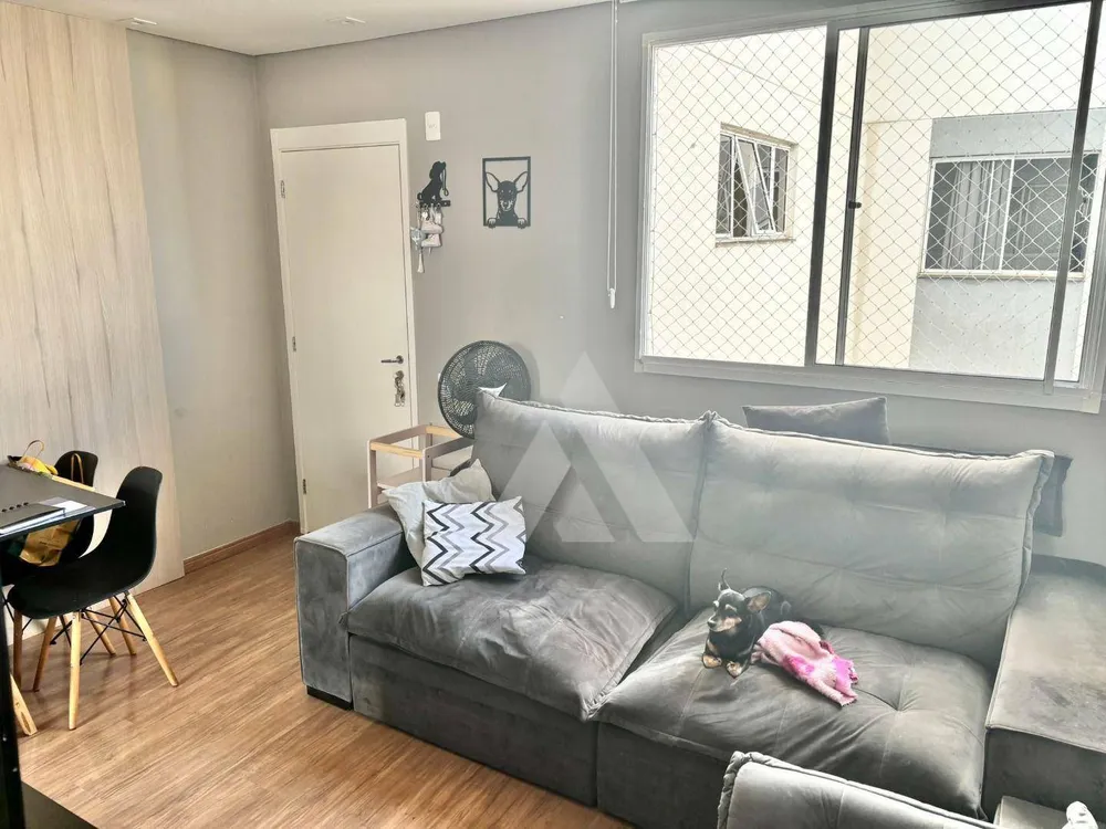 Apartamento, 2 quartos, 44 m² - Foto 9