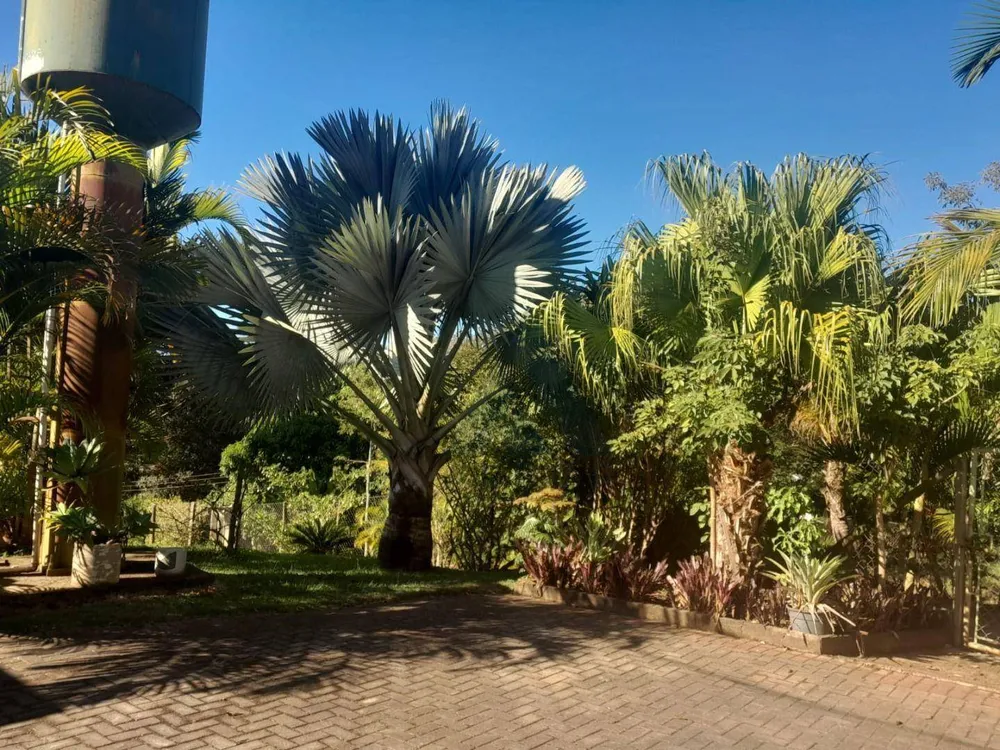 Chácara, 5 quartos, 3 hectares - Foto 1