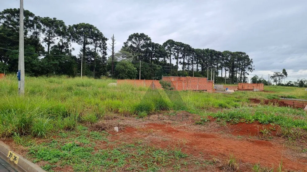Terreno, 200 m² - Foto 1