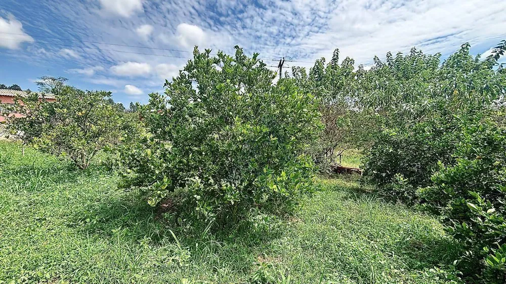 Sítio, 1 quarto, 2 hectares - Foto 16