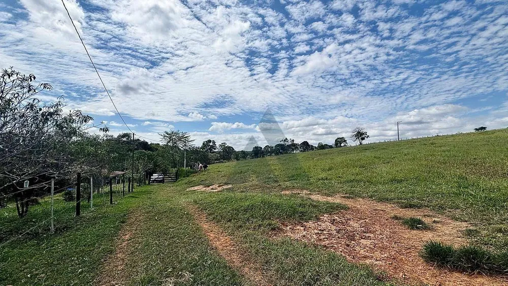 Sítio, 1 quarto, 2 hectares - Foto 13