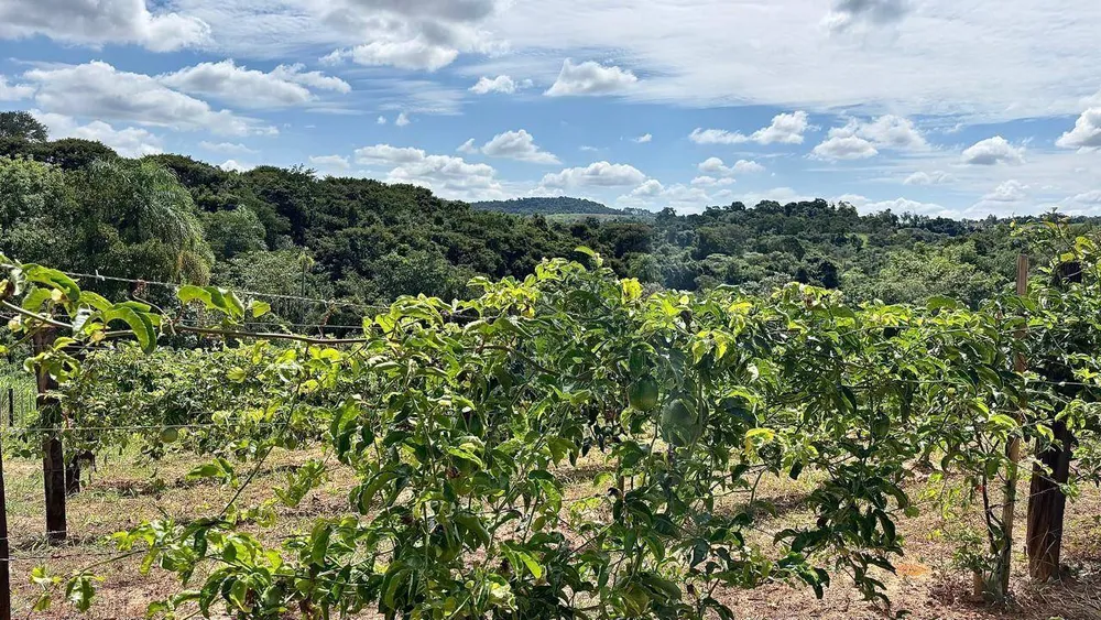 Sítio, 1 quarto, 2 hectares - Foto 8
