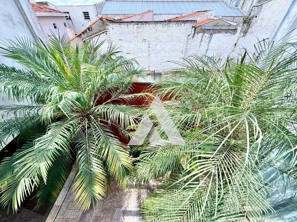 Casa, 3 quartos, 233 m² - Foto 32