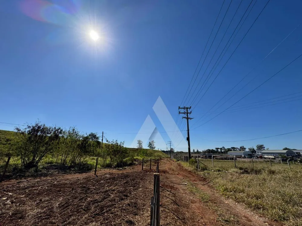 Terreno, 4300 m² - Foto 5