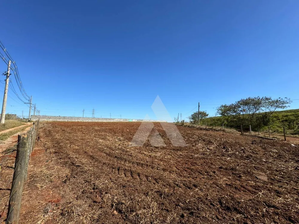 Terreno, 4300 m² - Foto 2